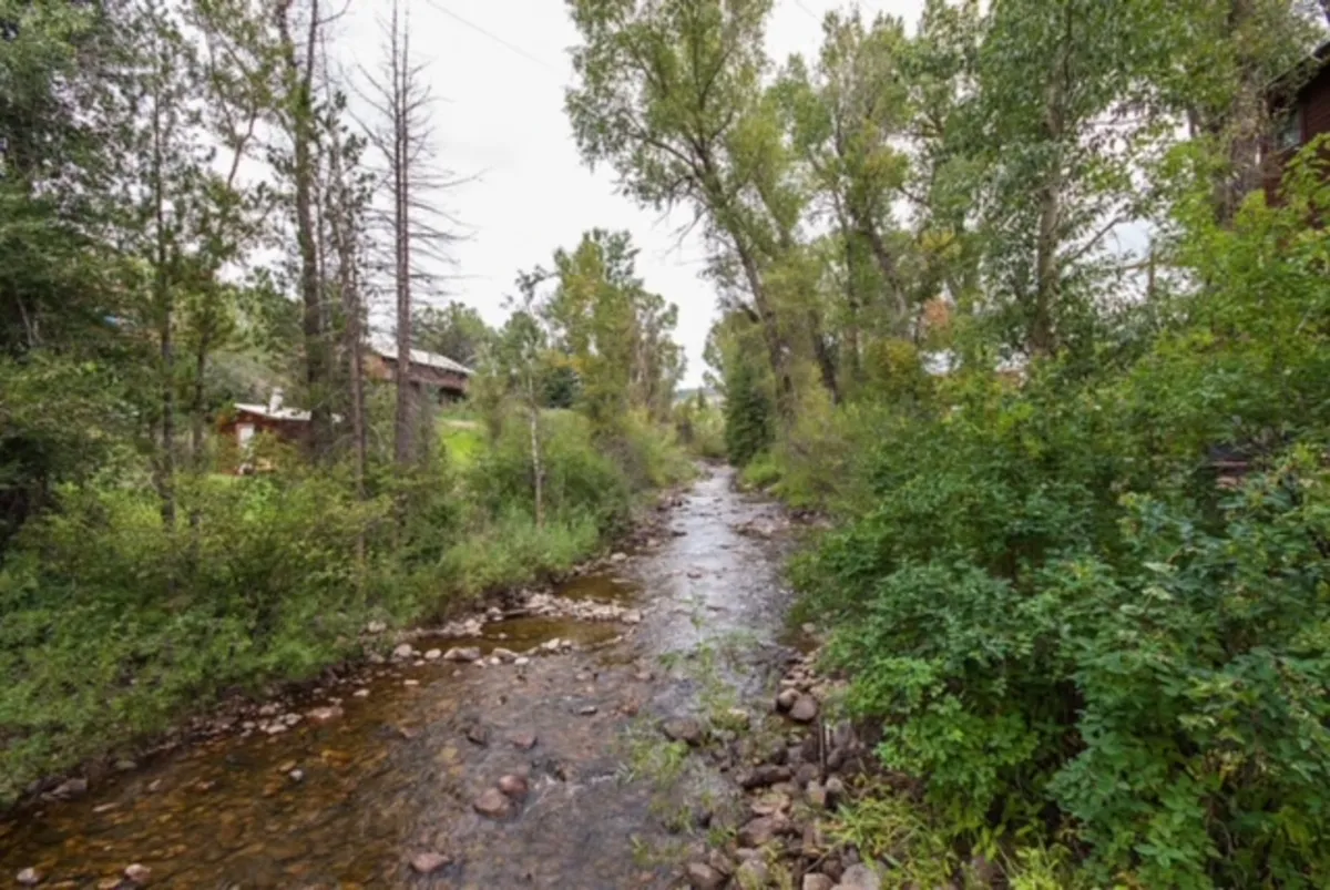 A tranquil view of Soda Creek winding through the landscape, framed by lush trees and distant buildings. The peaceful water reflects the sky and foliage, with natural pathways along the bank inviting strolls or moments of reflection.